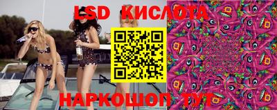 PSILOCYBIN Аргун