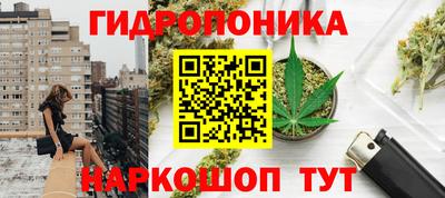 PSILOCYBIN Аргун